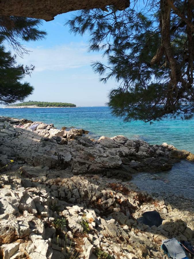 Apartments Villa Sibenik Primošten Екстериор снимка